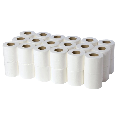 Toilet Roll 100 sheet Plain Recycled Paper 2plyC5 10Roll/Pkt 10Pkt/PP