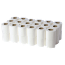 Toilet Roll 100 sheet Plain Recycled Paper 2plyC5 10Roll/Pkt 10Pkt/PP