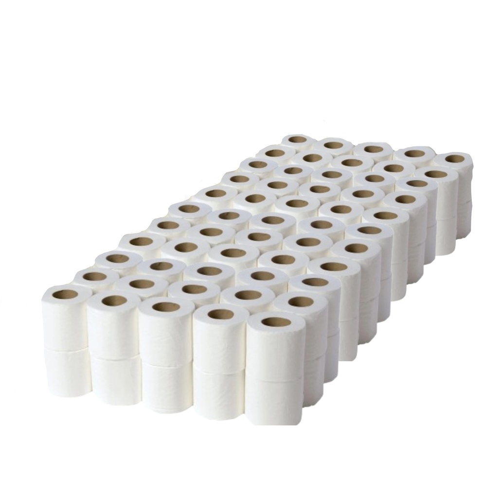Toilet Roll 100 sheet Plain Recycled Paper 2plyC5 10Roll/Pkt 10Pkt/PP