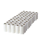 Toilet Roll 100 sheet Plain Recycled Paper 2plyC5 10Roll/Pkt 10Pkt/PP