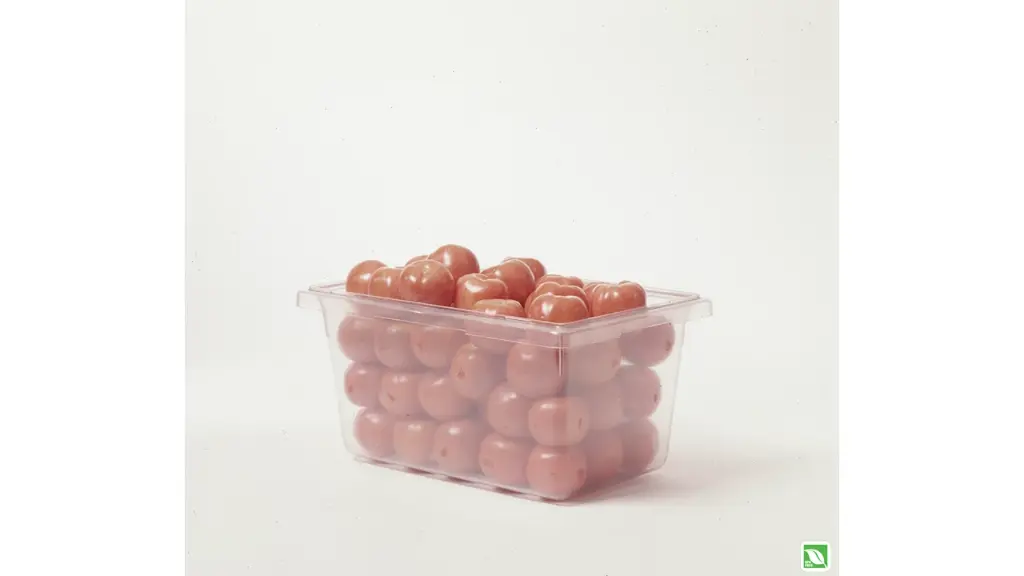 Food Tote Box 5Gal/19L 26"x18"x3.5" Clear