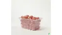 Food Tote Box 5Gal/19L 26"x18"x3.5" Clear
