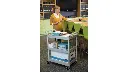 Service Utility Cart With 4"Swivel Casters 200Lbs Capacity Patinum