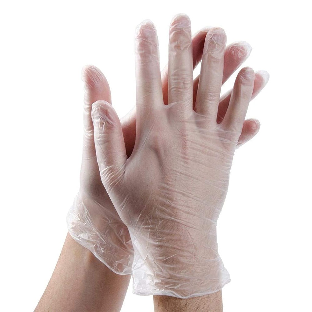 Vinyle Gloves Powder Free Small (Sama)