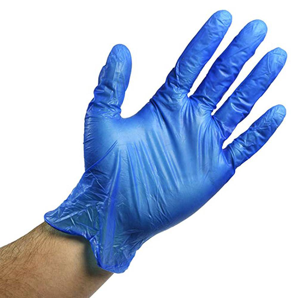 Vinyl Powder Free Glove Large Blue (Fifty Five)