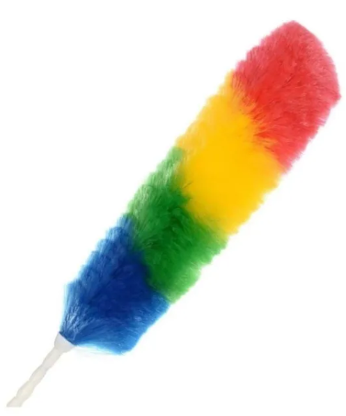 Feather Duster 
