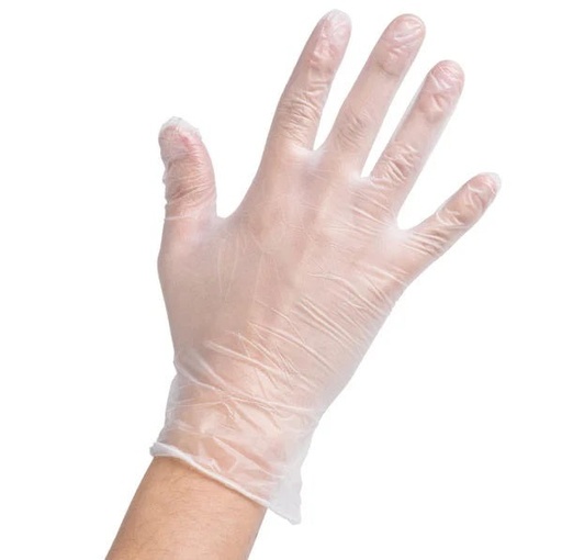 Vinyl Gloves Disposable Large Clear 100Pieces/Box (EUROGREEN)