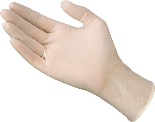 Latex Examination Gloves Large 100Pieces/Box (Palm)