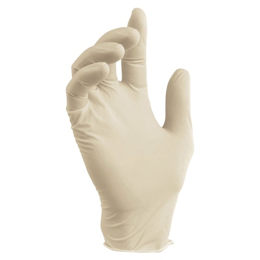 Latex Gloves Large 100Pieces/Box(Shield Perfect)