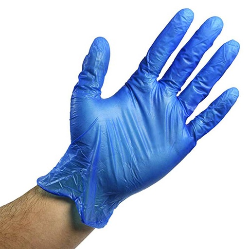 Vinyl Powder Free Glove Large Blue (Fifty Five)